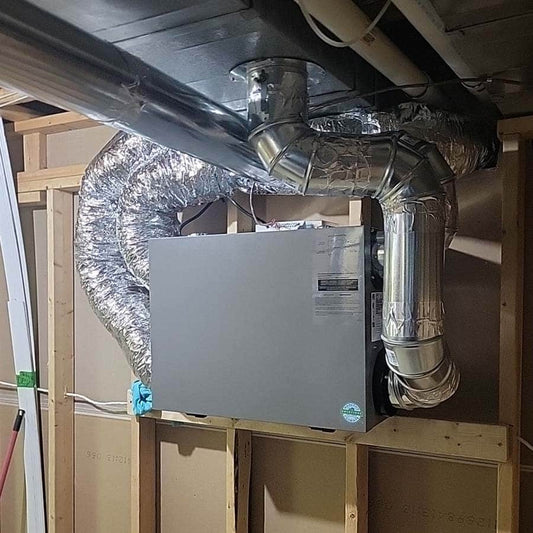 Which is better an ERV or HRV?